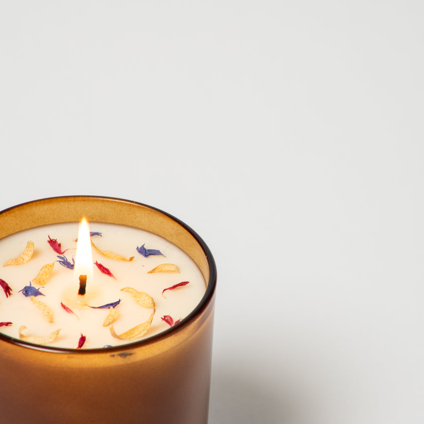 Hummingbird | Naturals Collection